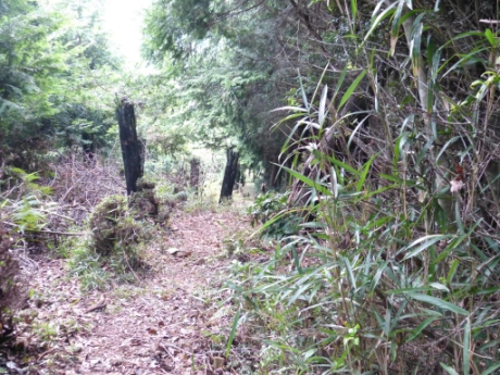画像40